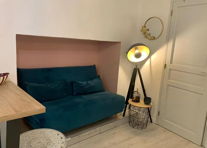 Appartement Hyper Centre Historique Toulouse Capitole Cosy