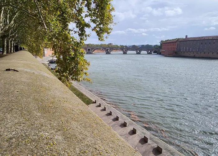 Appartement Hyper Centre Historique Toulouse Capitole Cosy
