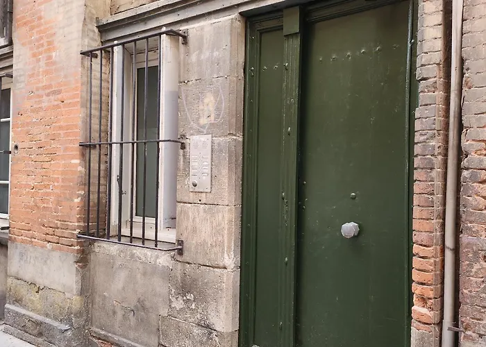 Appartement Hyper Centre Historique Toulouse Capitole Cosy